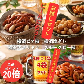 【今だけポイント20倍】お試し4種類セット ビール 専用 柿の種 お試しセット ランキング1位 TVでご紹介 4種×1袋計4袋 ビア柿×塩ダレ×スモークピー×ナポリタン 柿ピー あられ おかき ナッツ ビール おつまみ 手土産 酒 つまみ 燻製 カキタネ 1000円 ピーナッツ