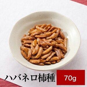 TT\[Xhynol`zl̂@100@v[gœKi@lف@TT\[X@h@h