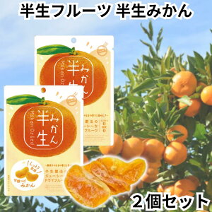 ドウシシャ ドライフルーツ 半生フルーツ 半生ドライフルーツ みかん ミカン 2個セット 送料無料
