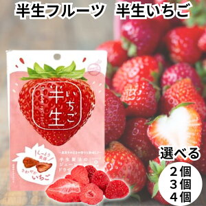ドウシシャ ドライフルーツ 半生フルーツ 半生ドライフルーツ 半生いちご イチゴ 苺 いちご 送料無料
