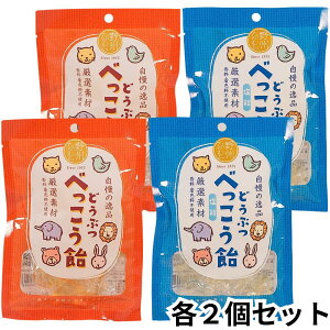 Bނ ǂԂׂ v[  2Zbg e2  [v  65g LfB A ⋋ Y Y  Aj} 킢  