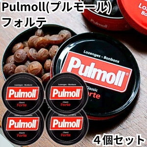 v[ Pulmoll tHe 4Zbg LfB hCc ̂ǈ A RX ݂͂ g[ mVK[ ̂ǂ  