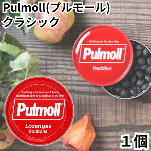 v[ Pulmoll NVbN 1 LfB hCc ̂ǈ A RX ݂͂ g[ mVK[ ̂ǂ  