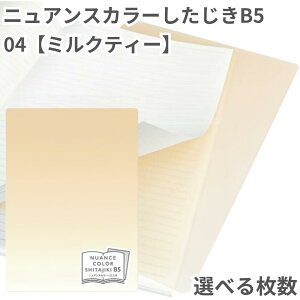 ���h �I���I���Y ���~�� B5 �j���A���X�J���[ �~���N�e�B�[ ���n �V���v�� ���{�� ORIONS ���h�v���X�`�b�N NS-B5-04 �������� �p�X�e�� �����݃J���[ ��������