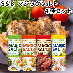 GXr[ }WbN\g IWi K[bN o[xL[ Mq 4Zbg S&B BBQ 䂸 XpCX  RVE GXr[Hi 