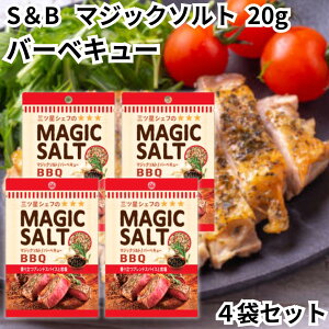 GXr[ }WbN\g ~j o[xL[ BBQ 20g 4܃Zbg lߑւ  ~jpE` t@Xi[t \g  