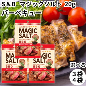 GXr[ }WbN\g ~j o[xL[ BBQ 20g lߑւ  ~jpE` t@Xi[t \g   XpCX