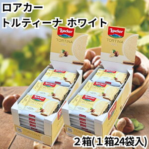 [J[ AJ[ geB[i zCg  2Zbg 124 zCg`R[g `R[g Aَq َq  EGn[X NXs[EGn[X