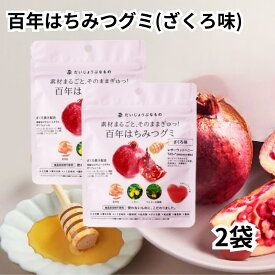 百年はちみつグミ ざくろ味 2袋 だいじょうぶなもの 無添加 食品添加物不使用 上白糖不使用 子供 おやつ 健康 美容 送料無料