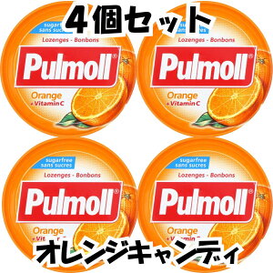 v[ Pulmoll NVbN tHe IW LfBhCc ̂ǈ A RX ݂͂ g[ mVK[ 