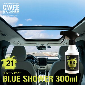 ԓL@G^m[Ɗ`aőu₩Ȏԓ BLUE SHOWER@u[V[300mlXv[ L   ybg ^oR LXv[  F