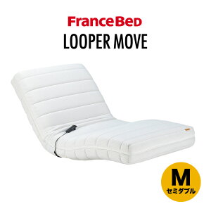 tXxbh p[gi[ dNCjO}bgX [p[[u RP-1000W RP1000 VO Z~_u 21cm R _jh~ R hL Ki {