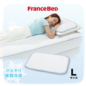 フランスベッド 枕カバー 接触冷感 夏用 涼しい クールデオド ピロシートN 水洗い可能 ズレ防止 消臭 送料無料 Lサイズ
