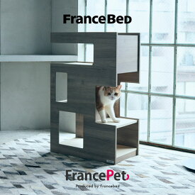 フランスベッド フランスペット ペット インテリア　PE-04　キャットタワー　パーテーション 猫 ねこ 室内 遊び場 寝床 ベッド 猫が遊べるベッド キャットウォーク 送料無料