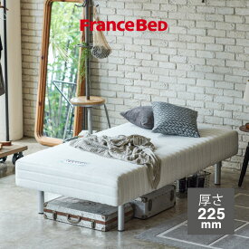 フランスベッド マットレス やや硬め 高さが選べる 本格仕様「脚付きマットレスベッド」 ベッド下収納 高密度連続スプリング 防ダニ加工 日本製 送料無料