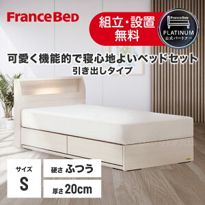 ベッド フランスベッド シングル コンセント付き ベッドフレーム」の 