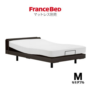 �t�����X�x�b�h �����p�[�g�i�[ ���^�d���x�b�h�t���[�� UD-102C �r�^�C�v ���b�O IoT�����R�� ���N���C�j���O�x�b�h �R���Z���g�t�� ���K�i