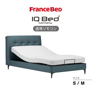 �t�����X�x�b�h �����p�[�g�i�[ �d���x�b�h�t���[�� IQ�P�x�b�NRX IQ�x�b�h �r�^�C�v ���b�O �ʏ탊���R�� �r�^�C�v ���b�O ���_�� �t�@�u���b�N ������ �z���� �O���[ �u���[ �I�����W ���K