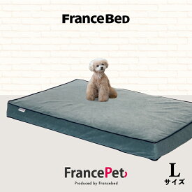 フランスベッド フランスペット ペット インテリア　PE-11　ペットマット コージーイン Lサイズ 防水 快眠 いぬ 猫 ねこ 室内 遊び場 寝床 送料無料
