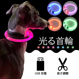 DOGPET LEDドッグカラー 犬 光る首輪 点灯 点滅 led 光る 首輪 USB 充電式 電池 ライト首輪 発光首輪 安全 安心 事故防止 散歩 小型犬 中型犬 サイズ調節 25cm 35cm