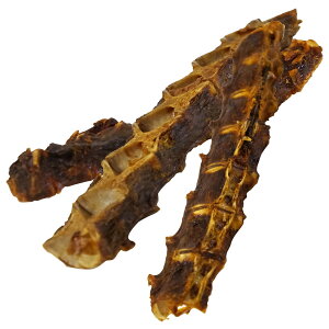 DOGPET ̂ a̎RY }O {[  F  ۑ Y R̔̂܂܂ ^