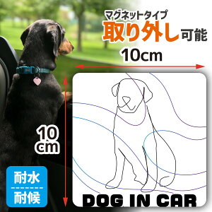 y}\|Cg10{z J[XebJ[ hbOCJ[ }Olbg XebJ[ dog in car Ă܂ ybg ybgpi J[pi Vv 
