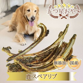 DOGPET 犬 おやつ 鹿肉 骨付きスペアリブ ロング 鹿肉アバラ骨 肉付き 無添加 無着色 高タンパク 低脂肪 歯磨きガム 歯石除去 長持ち ジャーキー ジビエ 犬の管理栄養士監修 30g 50g 100g 200g