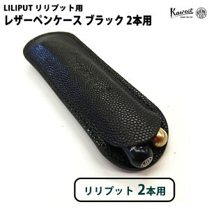 JFR KAWECO vbg 2{p U[yP[X GR ubN KAi CASEL2B