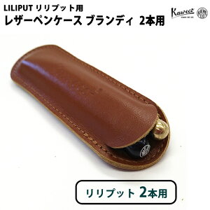 JFR KAWECO vbg 2{p U[yP[X GR CASEL2D ufB KAi