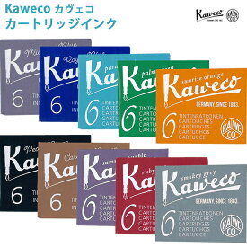 カヴェコ KAWECO カートリッジインク 正規輸入品 INK