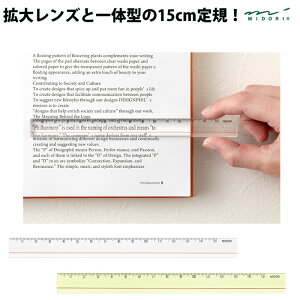 yv`bsOz MIDORI YK 15cm  F [[ g僌Y
