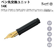 カヴェコ KAWECO ペン先交換ユニット 14K