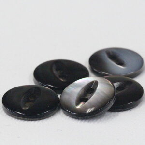 {^ L{^ VF{^ L 15mm lR 1 {^̎L̖ڂ̂悤ɃJbg ʏ̃lR {^ LgVRLt  | ttւ 