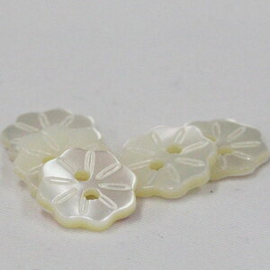 {^ L{^ VF{^ L 10mm 1 Ԃ̌`ǂă[U[HŃANZg {^ LgVRLt nhCh  | ttւ 