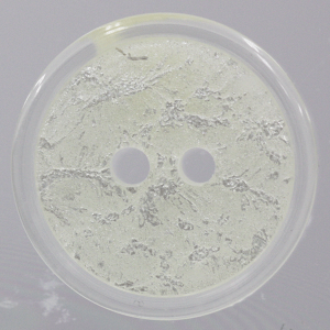 {^ vX`bN{^ Jt 10  NA x  zCg 11.5mm 13mm 15mm 18mm Vc uEX ANZT[ obO {^ | ʔ