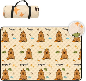 W[V[g h sNjbN}bg 唻 150x200cm 3`6lp ܂肽 h RpNg[ gѕ֗ y  ^ Ԍ r[` Lv AEghA q 200cm*300cm