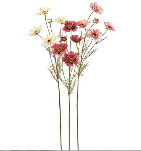 RXXX4 ڂX1  tFCNt[ A[eBtBVt[ CeAG IuWF JtF i` fBXvC H