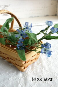 u[X^[  CeA tFCNt[ O[CeA A A[eBtBVt[ CeAG IuWF JtF i` fBXvC