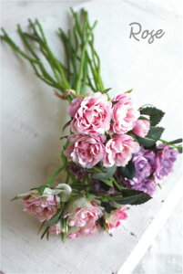 ؂ [Yo`23cm  CeA KN A[eBtBVt[ A[gt[ X fBXvC t[AW  EFfBO LO JXj j o 