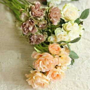 yNʃX[p[SALEi z[Yo`23cm B  CeA tFCNt[KN A[eBtBVt[ A[gt[ X fBXvC t[AW  EFfB