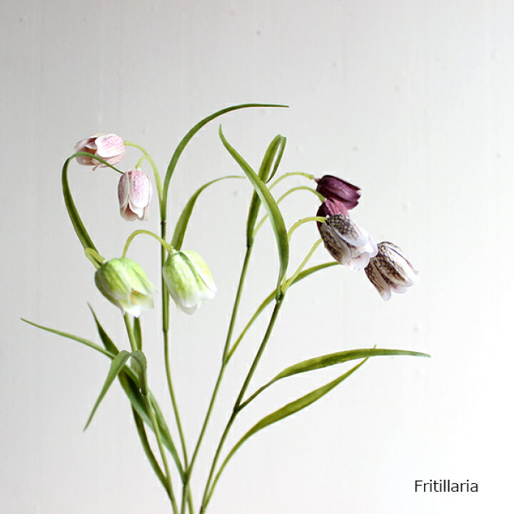 楽天市場 フリチラリア ヨウラクユリ Fritillaria 造花 フェイクフラワー フェイクグリーンのお店 Mintcafe