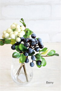 x[o` 3{  tFCNt[ i` O[CeA A A[eBtBVt[ CeAG IuWF JtF i` fBXvC