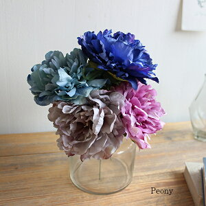 sIj[isbNj  CeA G tFCNt[  ԑ A tFCNO[ j  