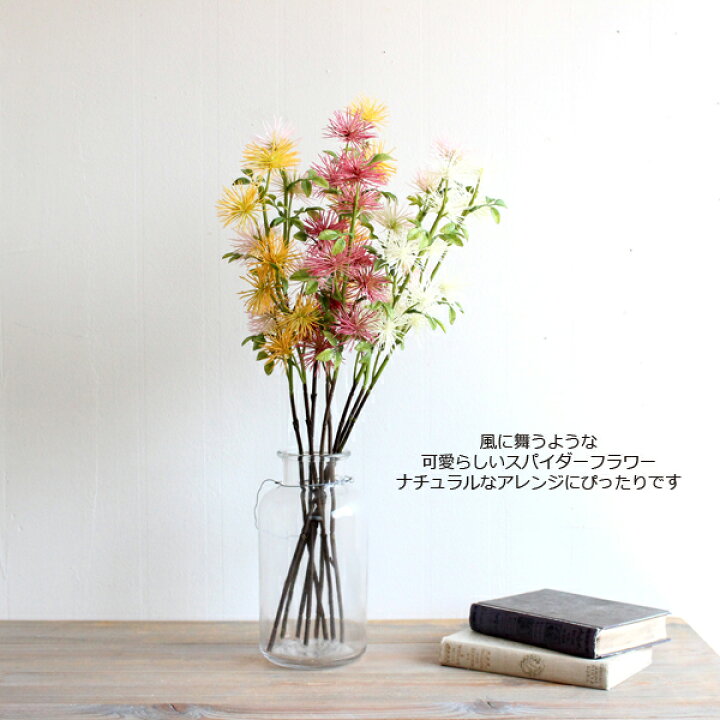 楽天市場 スパイダーフラワー 2本 造花 未触媒 フェイクフラワー フェイクグリーンのお店 Mintcafe