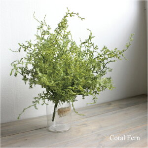 R[t@[ubV  CeA ~j tFCNO[ L CTG} A JtF  rO Lb` 킢 ӂӂ ۂ t {[~[ fBXvC  I