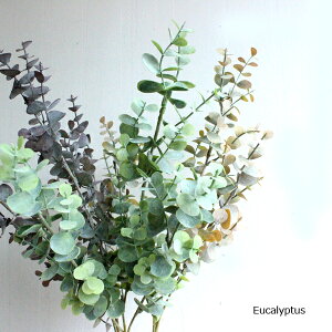 [JXv[ 65cm  tFCNt[ i` O[CeA A A[eBtBVt[ CeAG IuWF JtF i` fBXvC