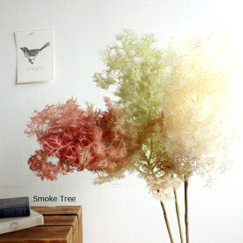 楽天市場 スモークツリー 花 観葉植物 花 ガーデン Diy の通販