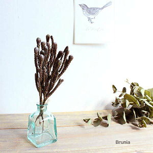 ؂ ujAS 3{  tFCNO[ O[CeA A ][gCeA A[eBtBVO[ CeAG IuWF JtF AWA fBXvC