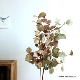 楽天市場 ユーカリ 丸葉の通販