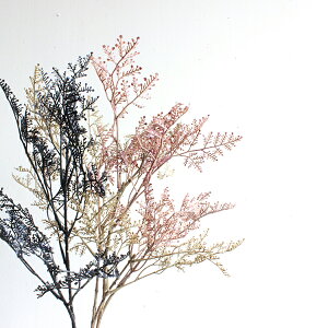 ؂ hCjEXv[64cm  CeA tFCNt[ X^[`X i` O[CeA A A[eBtBVt[ CeAG IuWF JtF